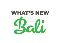 What's New in Bali