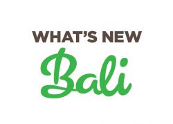 What's New in Bali