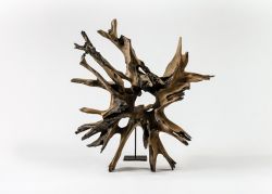 Human roots collection