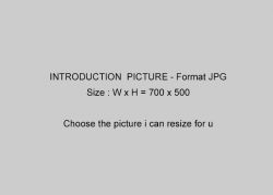 Subtitle with additional picture